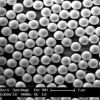 Nano/Micro Particle(나노/마이크로입자)